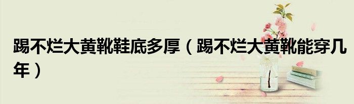 踢不爛大黃靴鞋底多厚（踢不爛大黃靴能穿幾年）