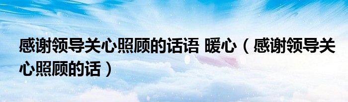 感謝領導關心照顧的話語 暖心（感謝領導關心照顧的話）