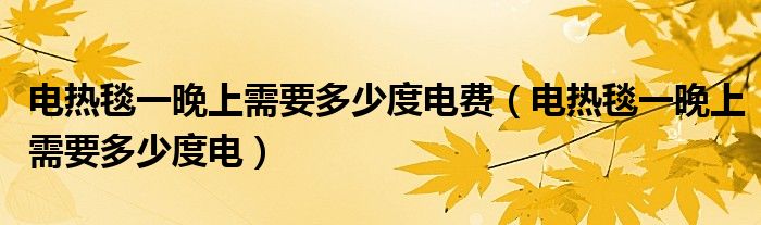電熱毯一晚上需要多少度電費（電熱毯一晚上需要多少度電）
