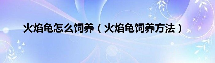 火焰龜怎么飼養(yǎng)（火焰龜飼養(yǎng)方法）