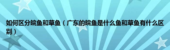 如何區(qū)分皖魚和草魚（廣東的皖魚是什么魚和草魚有什么區(qū)別）