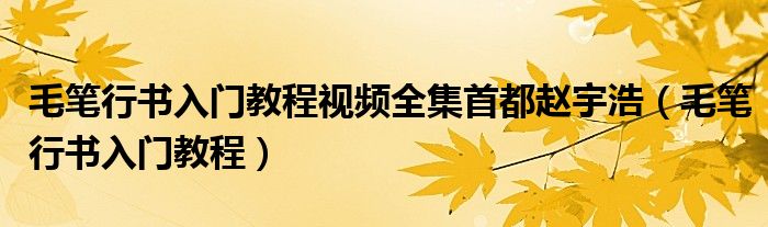 毛筆行書入門教程視頻全集首都趙宇浩（毛筆行書入門教程）