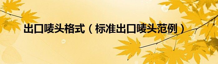 出口嘜頭格式（標(biāo)準(zhǔn)出口嘜頭范例）