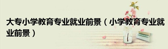 大專小學(xué)教育專業(yè)就業(yè)前景（小學(xué)教育專業(yè)就業(yè)前景）