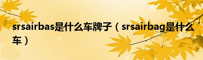 srsairbas是什么車牌子（srsairbag是什么車）