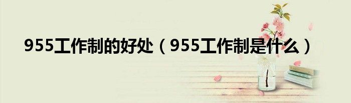 955工作制的好處（955工作制是什么）