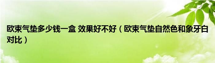 歐束氣墊多少錢一盒 效果好不好（歐束氣墊自然色和象牙白對(duì)比）