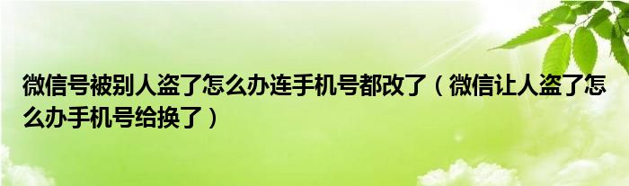 微信號被別人盜了怎么辦連手機(jī)號都改了（微信讓人盜了怎么辦手機(jī)號給換了）