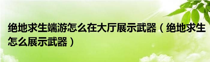 絕地求生端游怎么在大廳展示武器（絕地求生怎么展示武器）