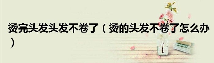 燙完頭發(fā)頭發(fā)不卷了（燙的頭發(fā)不卷了怎么辦）