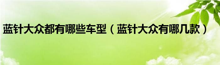 藍(lán)針大眾都有哪些車型（藍(lán)針大眾有哪幾款）
