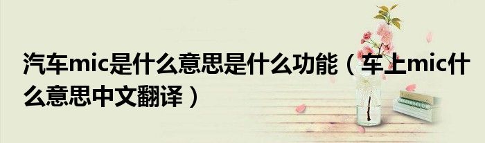 汽車mic是什么意思是什么功能（車上mic什么意思中文翻譯）
