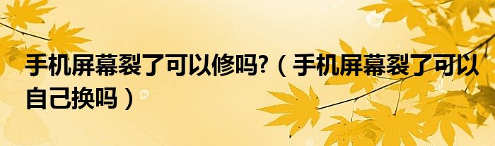 手機(jī)屏幕裂了可以修嗎?（手機(jī)屏幕裂了可以自己換嗎）