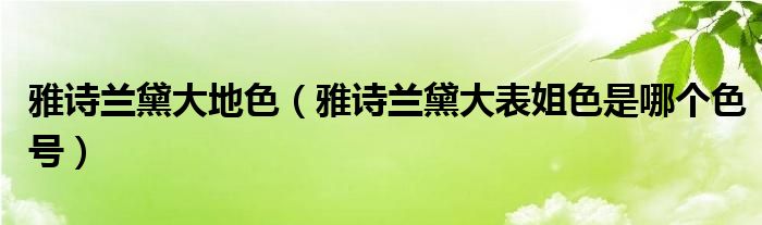 雅詩蘭黛大地色（雅詩蘭黛大表姐色是哪個(gè)色號）