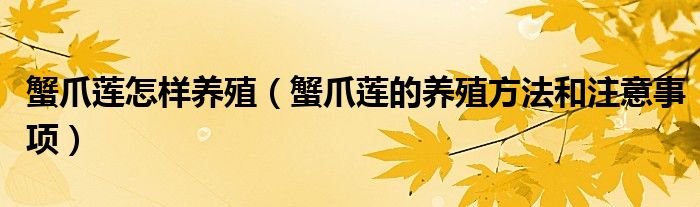 蟹爪蓮怎樣養(yǎng)殖（蟹爪蓮的養(yǎng)殖方法和注意事項(xiàng)）
