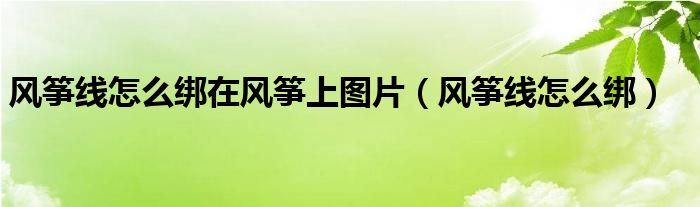 風(fēng)箏線怎么綁在風(fēng)箏上圖片（風(fēng)箏線怎么綁）
