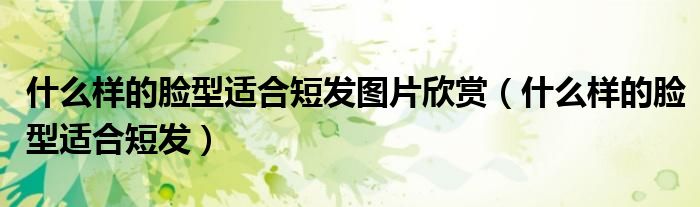 什么樣的臉型適合短發(fā)圖片欣賞（什么樣的臉型適合短發(fā)）