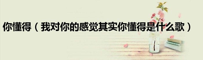 你懂得（我對你的感覺其實(shí)你懂得是什么歌）