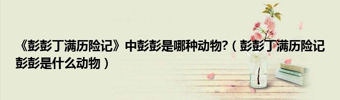 《彭彭丁滿歷險記》中彭彭是哪種動物?（彭彭丁滿歷險記彭彭是什么動物）