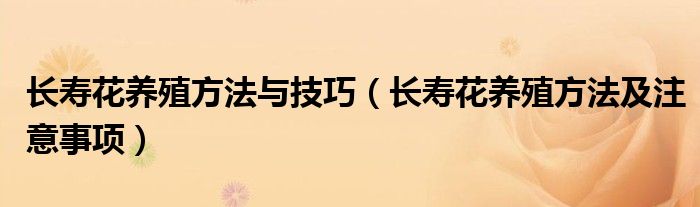 長壽花養(yǎng)殖方法與技巧（長壽花養(yǎng)殖方法及注意事項）