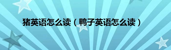 豬英語(yǔ)怎么讀（鴨子英語(yǔ)怎么讀）