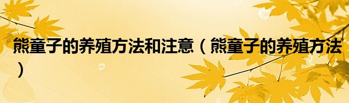 熊童子的養(yǎng)殖方法和注意（熊童子的養(yǎng)殖方法）