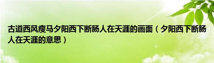 古道西風瘦馬夕陽西下斷腸人在天涯的畫面（夕陽西下斷腸人在天涯的意思）