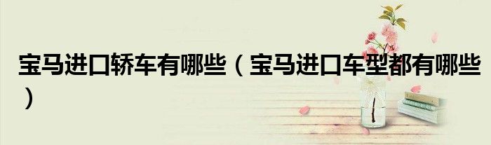 寶馬進(jìn)口轎車(chē)有哪些（寶馬進(jìn)口車(chē)型都有哪些）