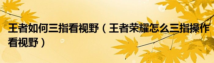 王者如何三指看視野（王者榮耀怎么三指操作看視野）