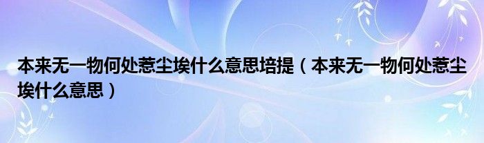 本來無一物何處惹塵埃什么意思培提（本來無一物何處惹塵埃什么意思）