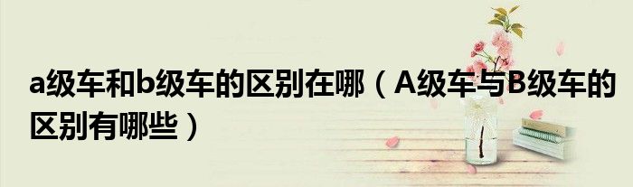 a級車和b級車的區(qū)別在哪（A級車與B級車的區(qū)別有哪些）