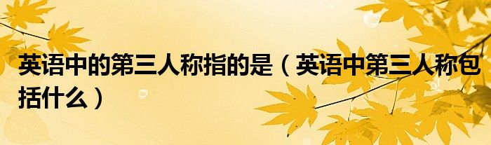 英語中的第三人稱指的是（英語中第三人稱包括什么）