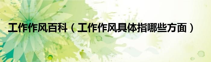 工作作風(fēng)百科（工作作風(fēng)具體指哪些方面）