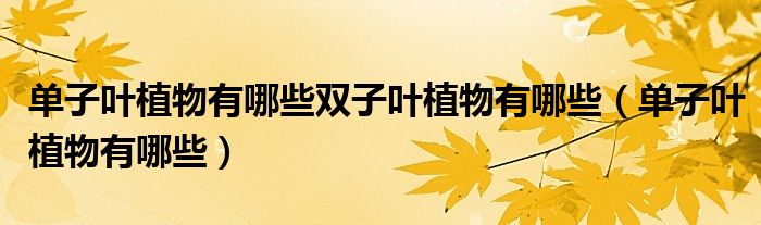 單子葉植物有哪些雙子葉植物有哪些（單子葉植物有哪些）