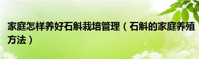 家庭怎樣養(yǎng)好石斛栽培管理（石斛的家庭養(yǎng)殖方法）