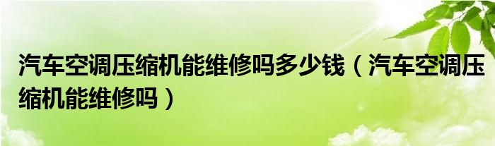 汽車空調(diào)壓縮機(jī)能維修嗎多少錢（汽車空調(diào)壓縮機(jī)能維修嗎）