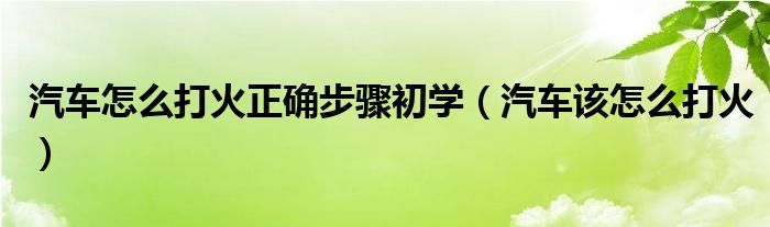 汽車怎么打火正確步驟初學(xué)（汽車該怎么打火）