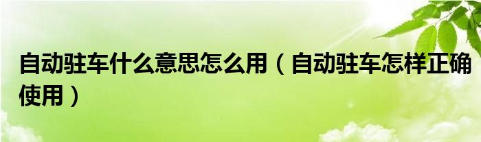自動(dòng)駐車什么意思怎么用（自動(dòng)駐車怎樣正確使用）