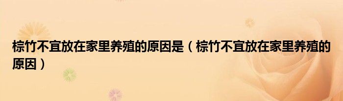 棕竹不宜放在家里養(yǎng)殖的原因是（棕竹不宜放在家里養(yǎng)殖的原因）