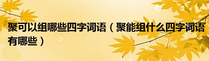 聚可以組哪些四字詞語（聚能組什么四字詞語有哪些）