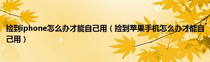 撿到iphone怎么辦才能自己用（撿到蘋(píng)果手機(jī)怎么辦才能自己用）