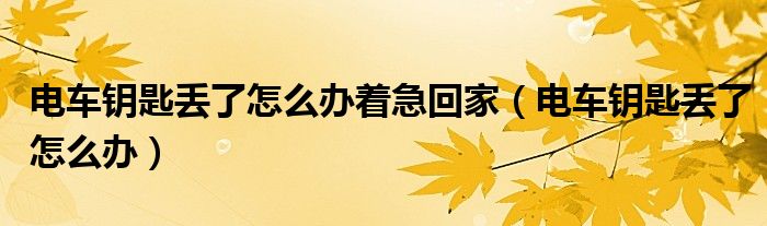 電車鑰匙丟了怎么辦著急回家（電車鑰匙丟了怎么辦）