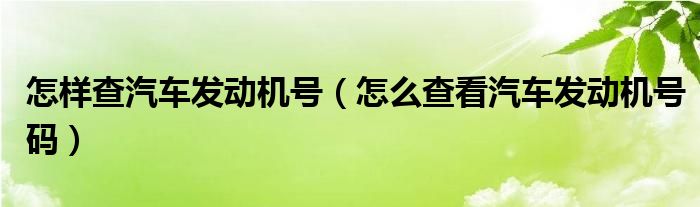 怎樣查汽車發(fā)動(dòng)機(jī)號(hào)（怎么查看汽車發(fā)動(dòng)機(jī)號(hào)碼）