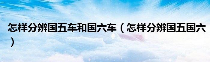 怎樣分辨國五車和國六車（怎樣分辨國五國六）