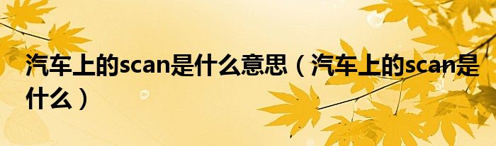 汽車上的scan是什么意思（汽車上的scan是什么）