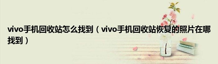 vivo手機回收站怎么找到（vivo手機回收站恢復(fù)的照片在哪找到）