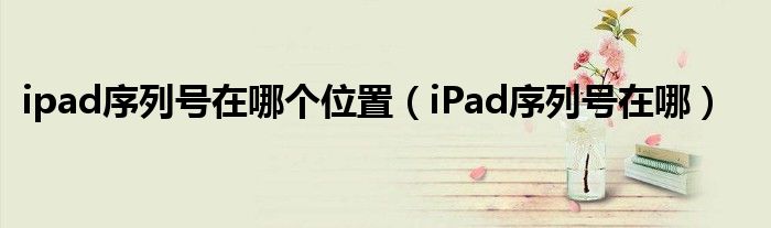 ipad序列號在哪個位置（iPad序列號在哪）
