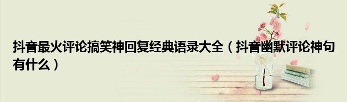 抖音最火評論搞笑神回復(fù)經(jīng)典語錄大全（抖音幽默評論神句有什么）