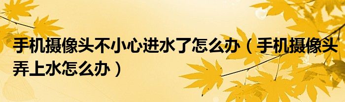 手機(jī)攝像頭不小心進(jìn)水了怎么辦（手機(jī)攝像頭弄上水怎么辦）