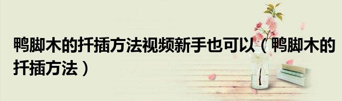 鴨腳木的扦插方法視頻新手也可以（鴨腳木的扦插方法）